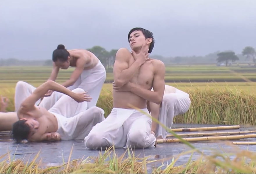 葉雲忠 盧美錡｜稻穗是大地的舞者